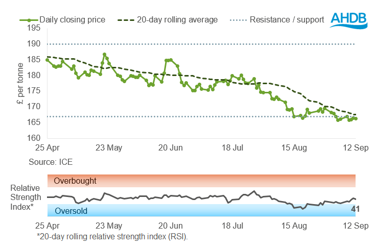 Feed wheat graph 15 09 202572.png